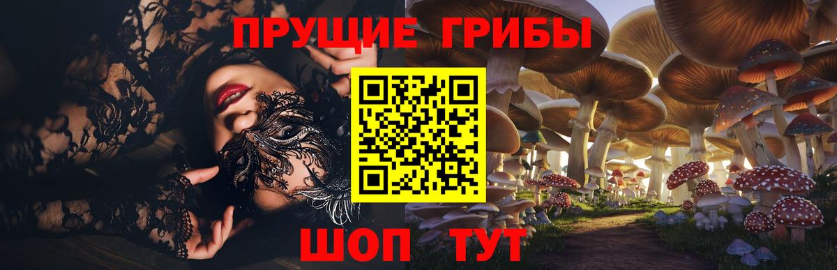 купить  сайты  Галлюциногенные грибы ЛСД  Вход с VPN  Псилоцибиновые грибы прущие грибы  Каменск-Шахтинский 